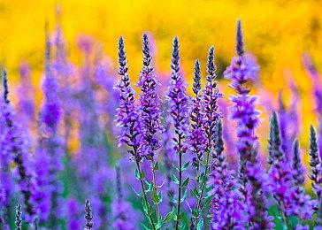 索尼2022财年Q1财报 PS5销量突破2170万台